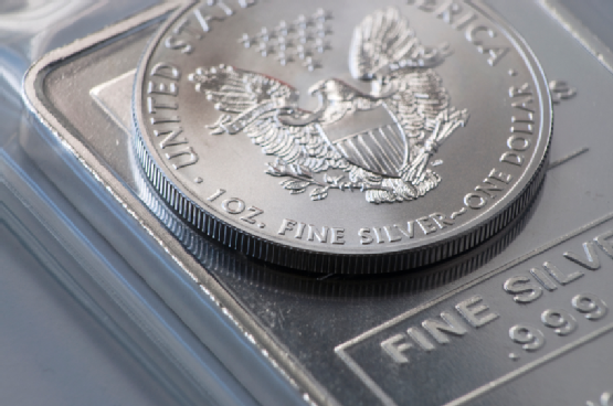 Silver Coin Bullion
